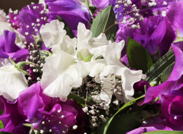 Funeral Services | JB Shakespeare | Funeral Directors Croydon